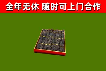 托克逊烟酒回收海参.jpg